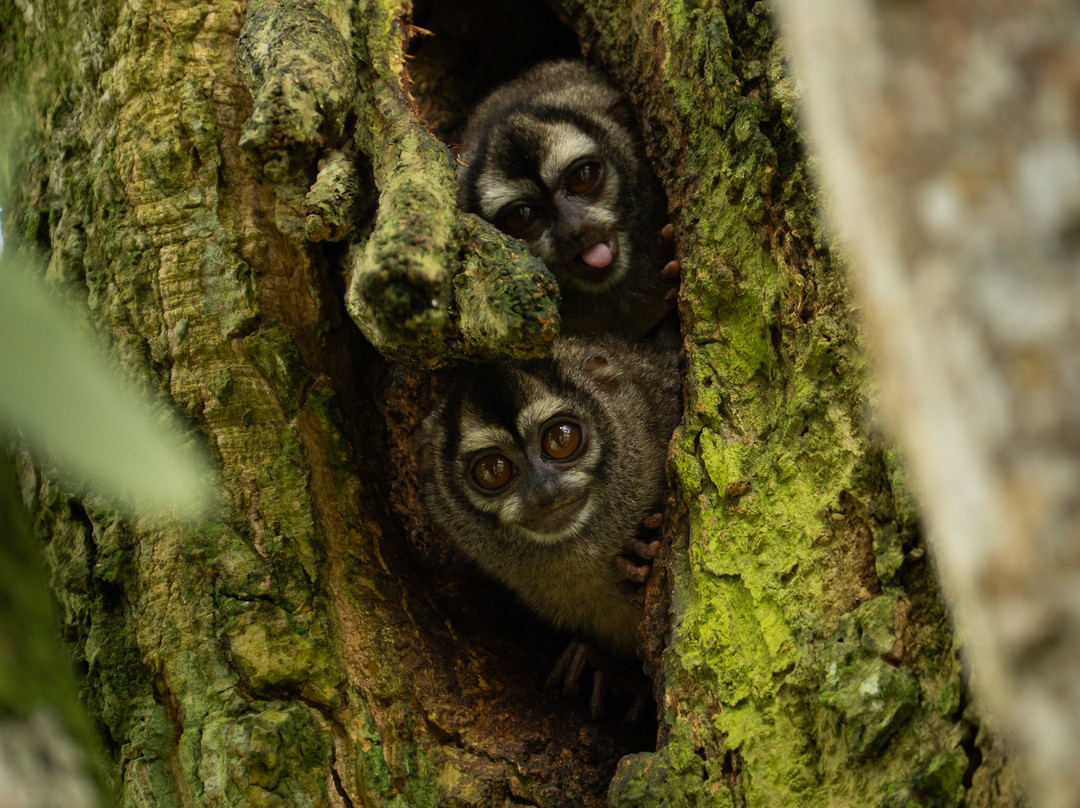 Panama Road Trips-巴拿马城必去景点