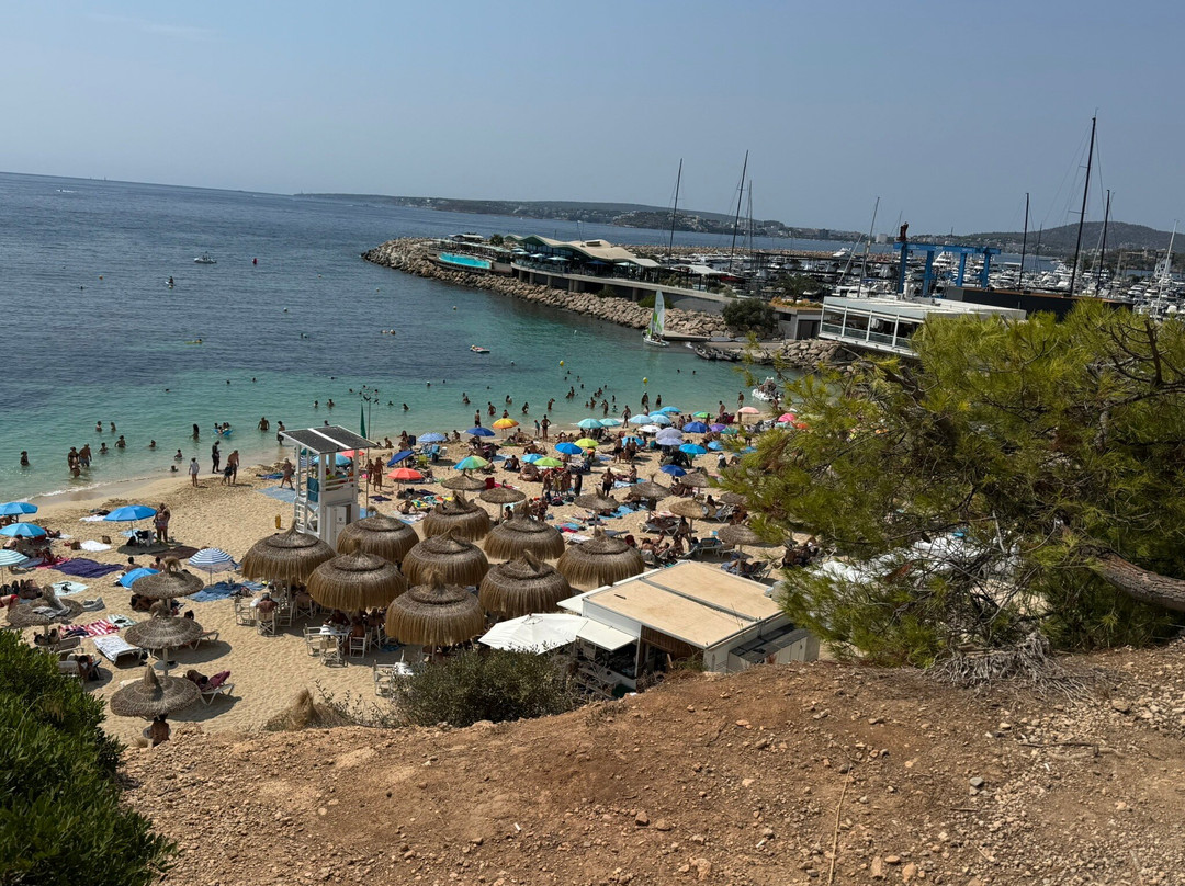 Platja De s'Oratori-波特努斯必去景点