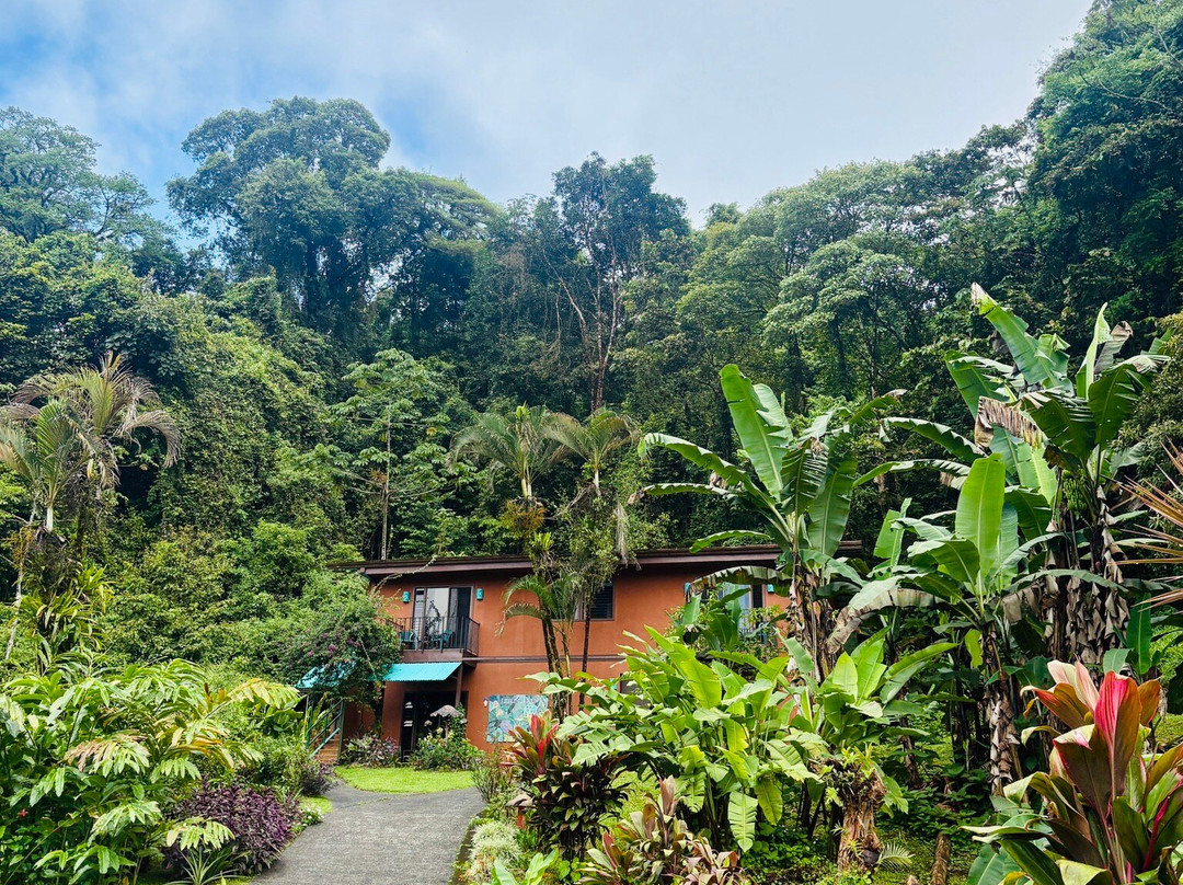 Lucky Bug B & B主图