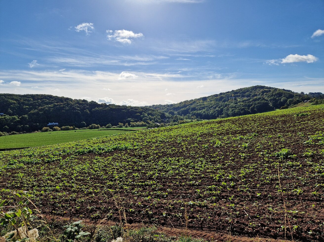 Goodrich Castle-Walford必去景点