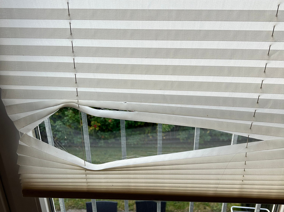 Landal Seawest主图