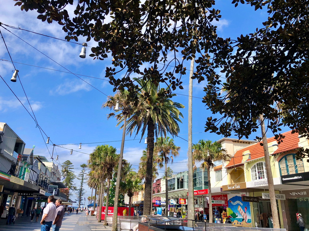 The Corso-曼利议会必去景点