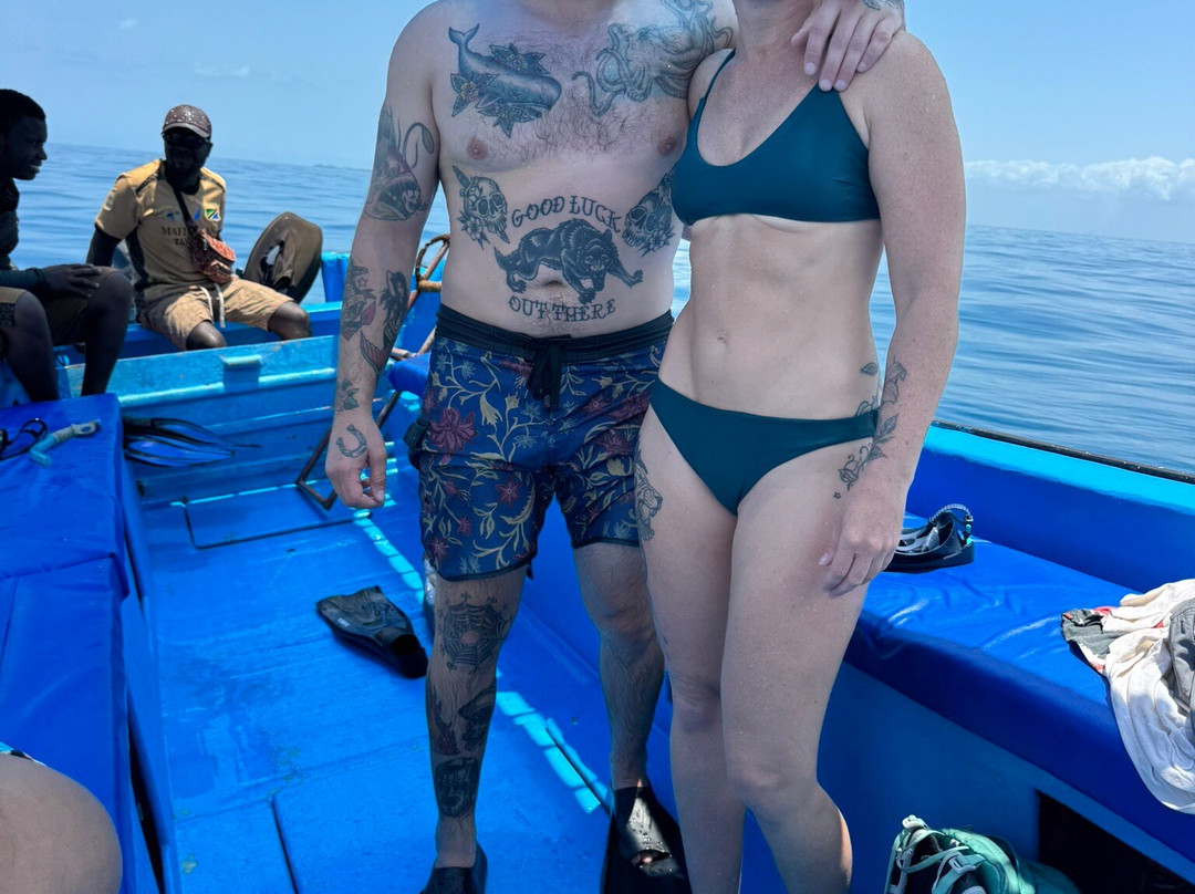 Afro Whale Shark Safari-马菲亚岛必去景点