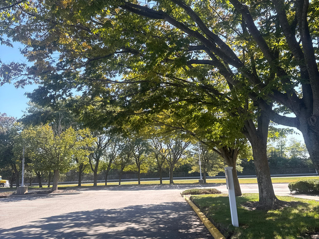 Marriott Melville Long Island主图