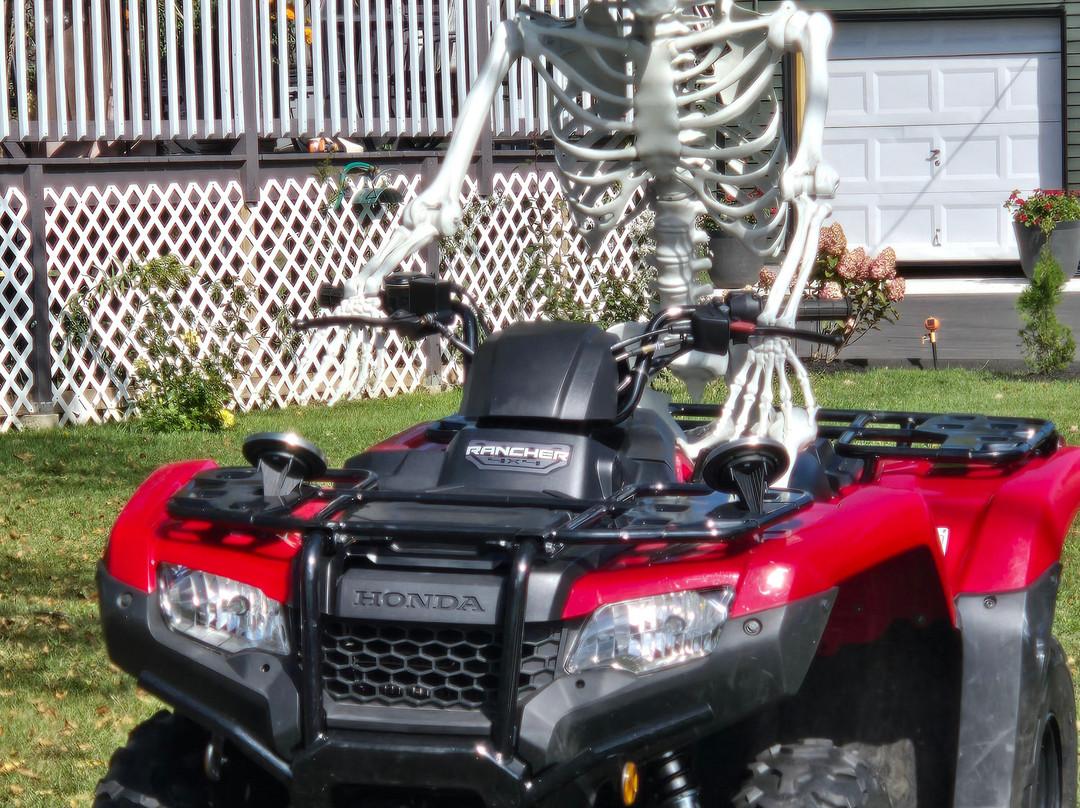 Mountain Treasure主图