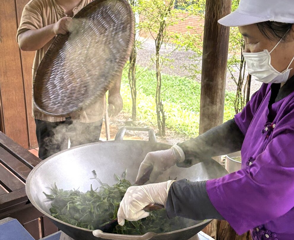 Araksa Tea Plantation - Day Tours-清迈必去景点