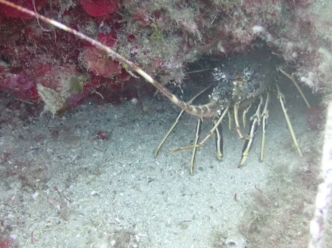 FunDive-Platanias必去景点