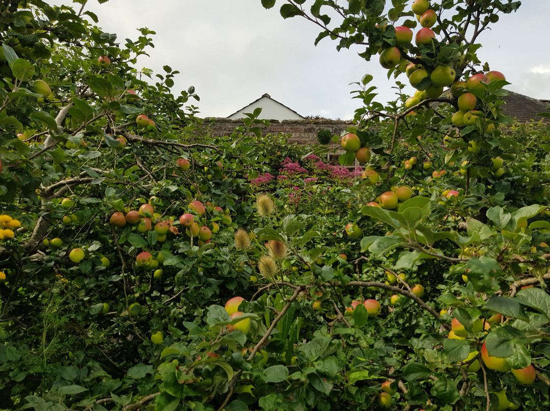 Wordsworth House and Garden-Cockermouth必去景点