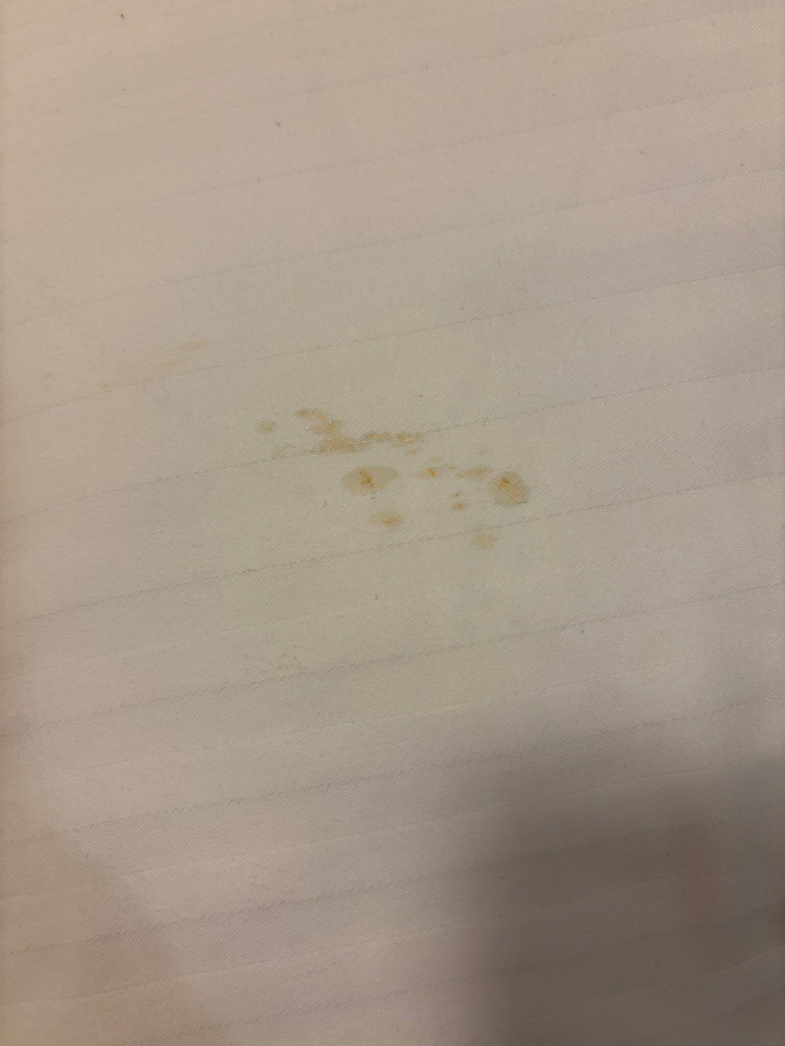 迈特奥雷迪斯酒店-官方