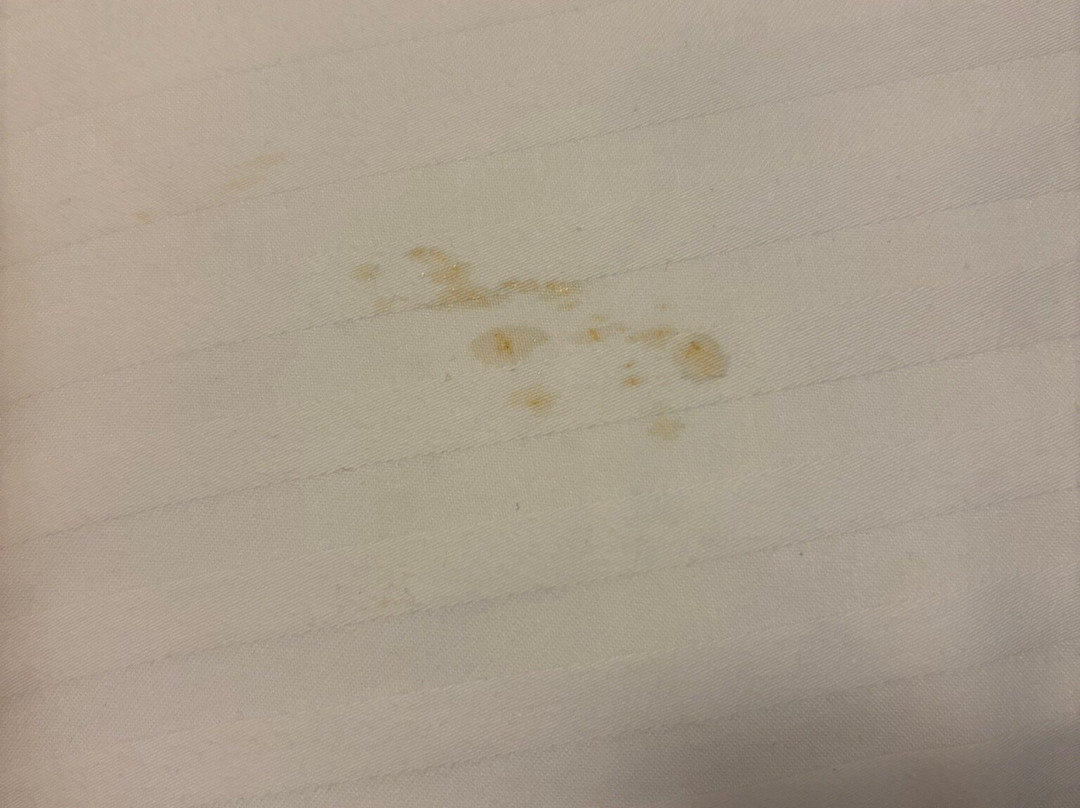 迈特奥雷迪斯酒店主图