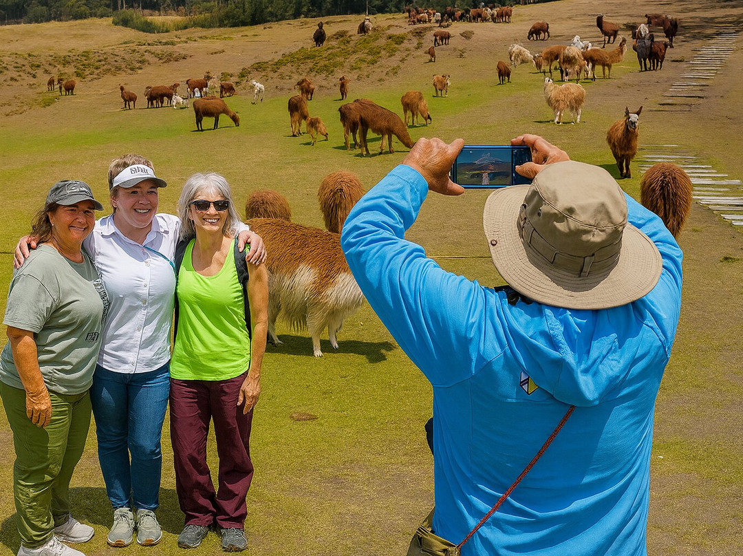 Tourexpress & Transfers-基多必去景点