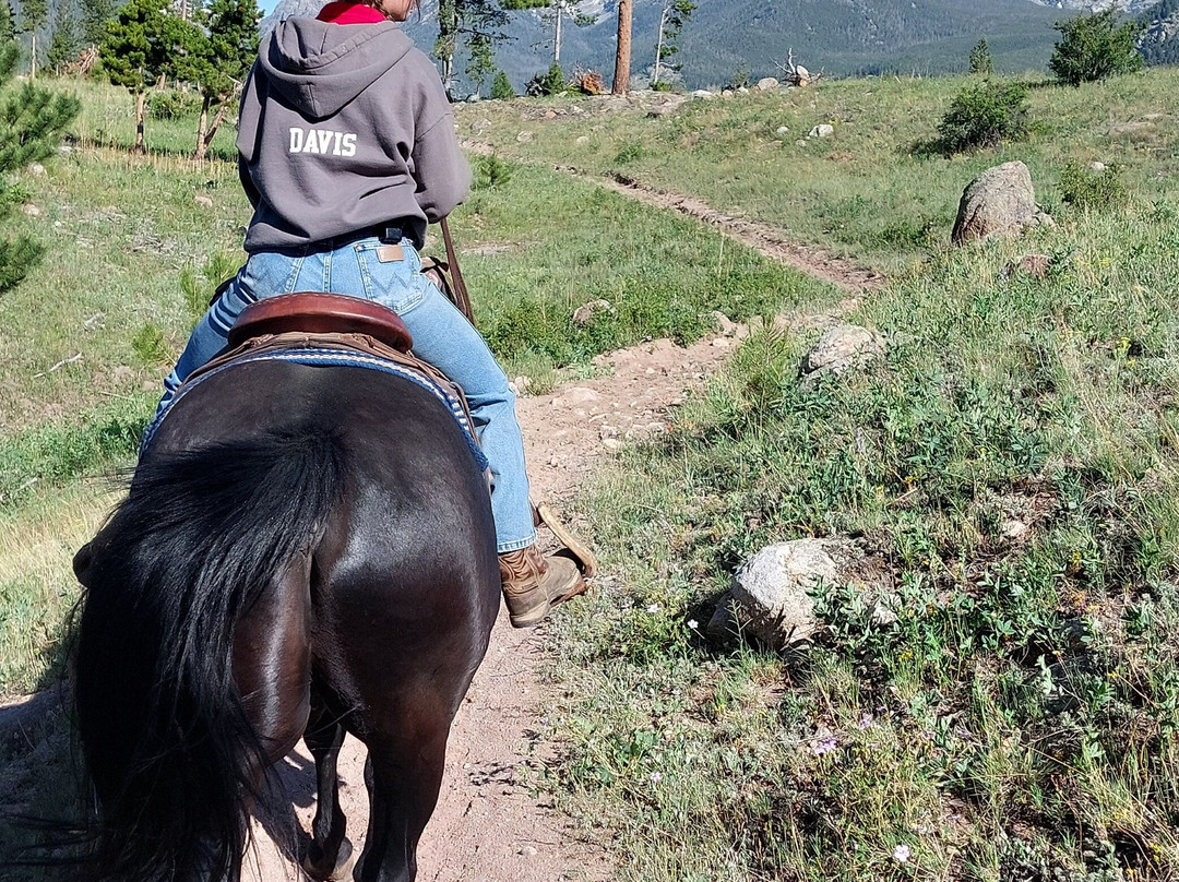 National Park Gateway Stables-埃斯蒂斯公园必去景点