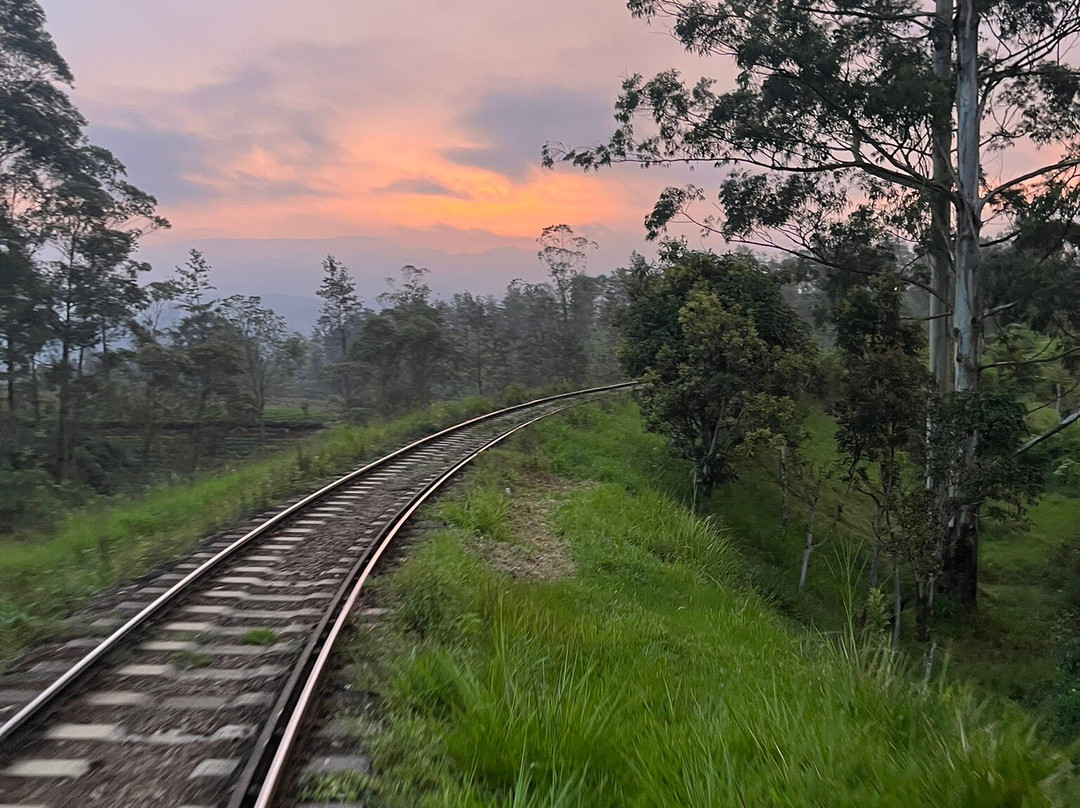 Nanuoya To Ella Train Ride-Nanu Oya必去景点