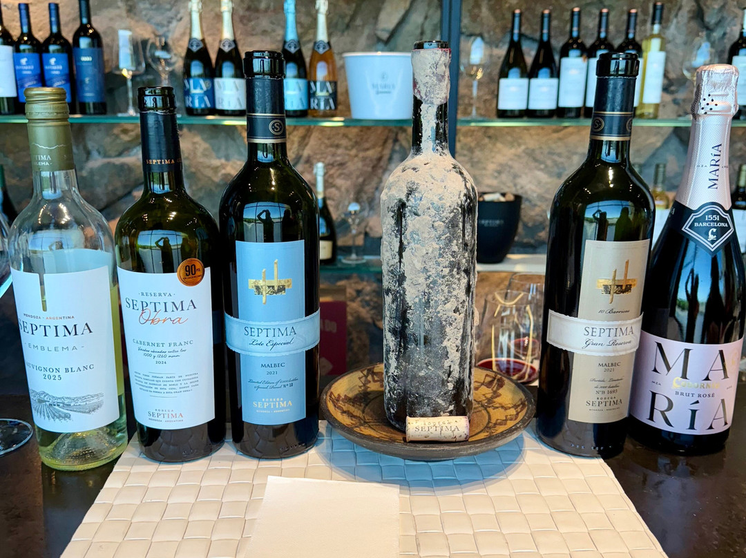 Bodega Septima-路冉得库约必去景点