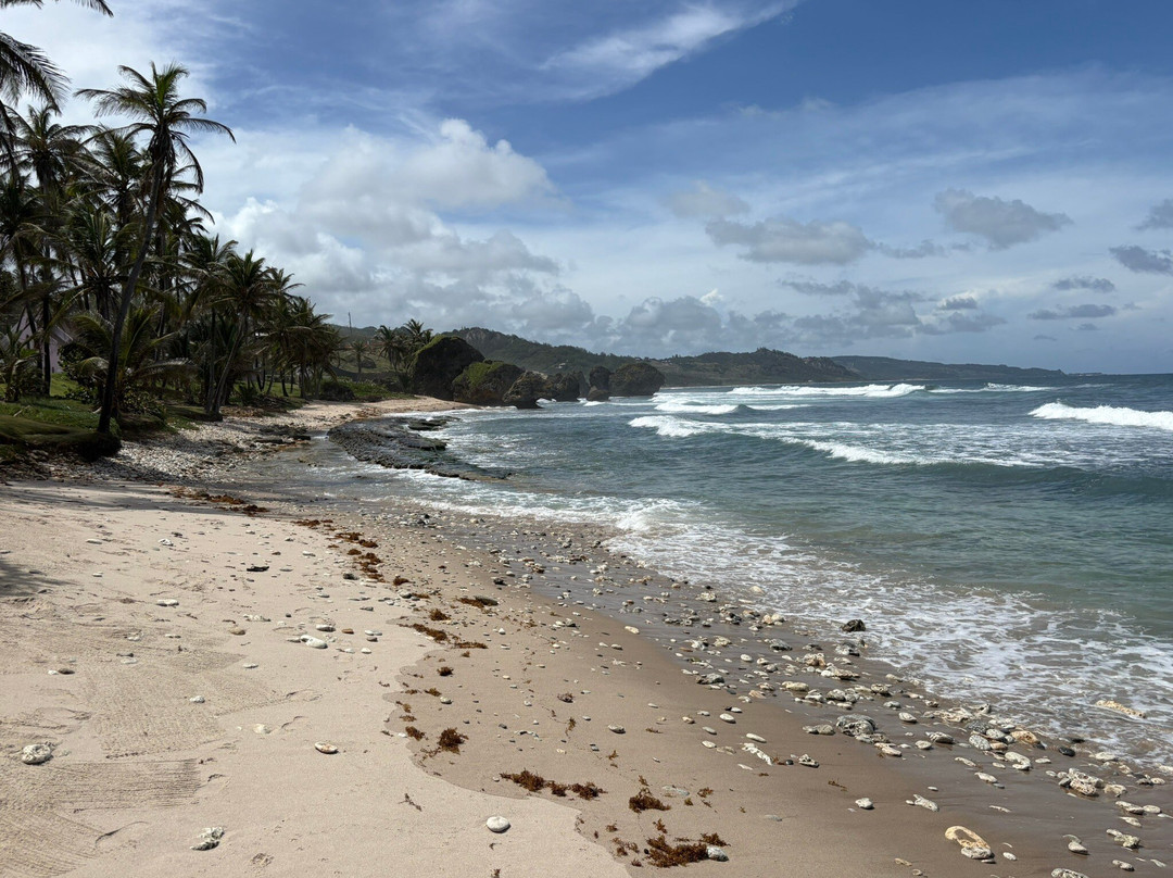 Bathsheba Beach-Bathsheba必去景点
