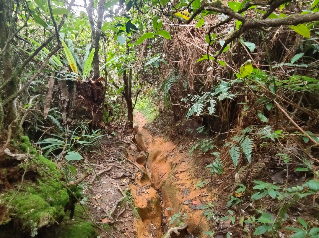 Gunung Berembun-日叻务村必去景点