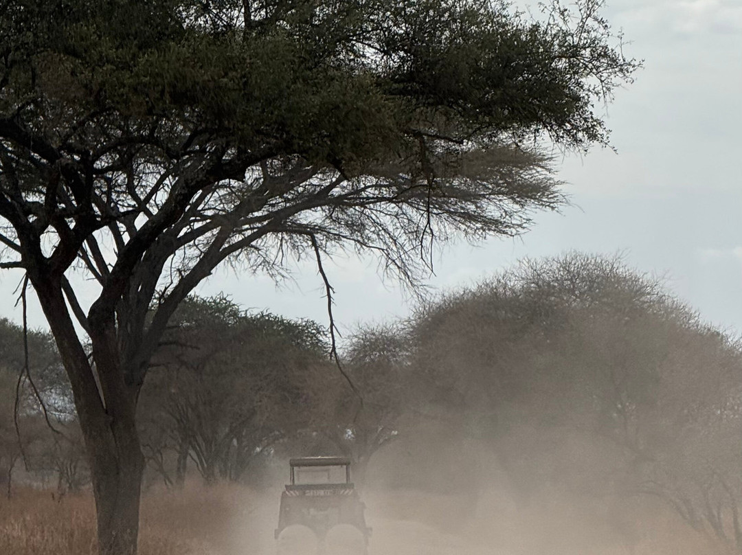 Travel Africa Safari Agency-Usa River必去景点