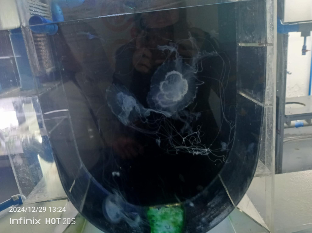 Cebu Ocean Park - Cebu-宿雾市必去景点