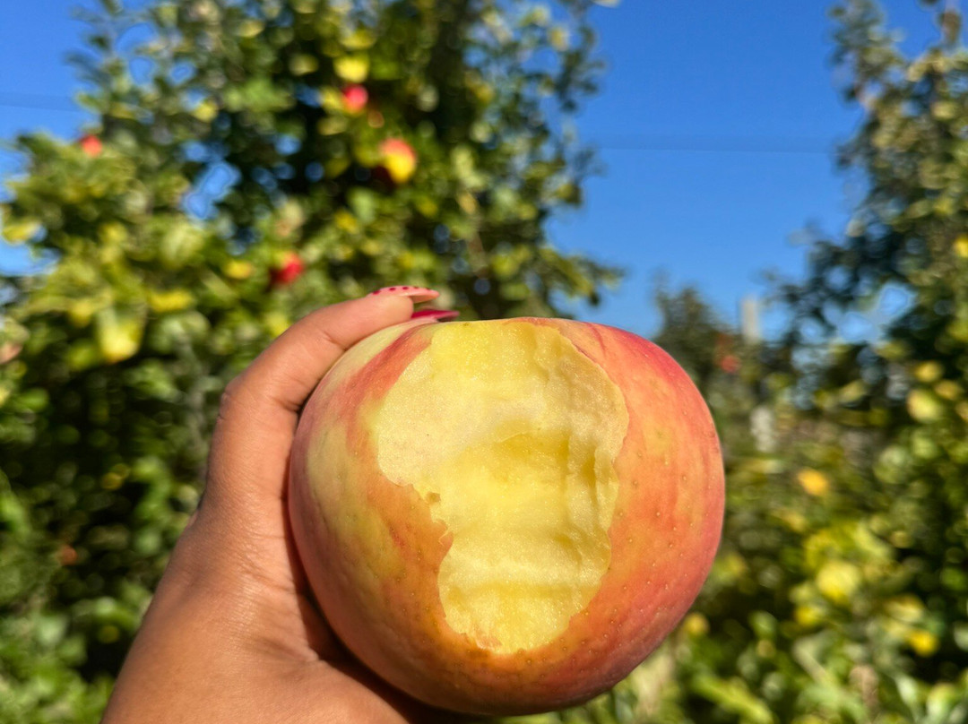 McKenzie's Farm-Milton必去景点