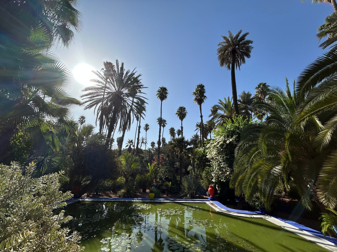 Morocco DailyXplore Tours-卡萨布兰卡必去景点