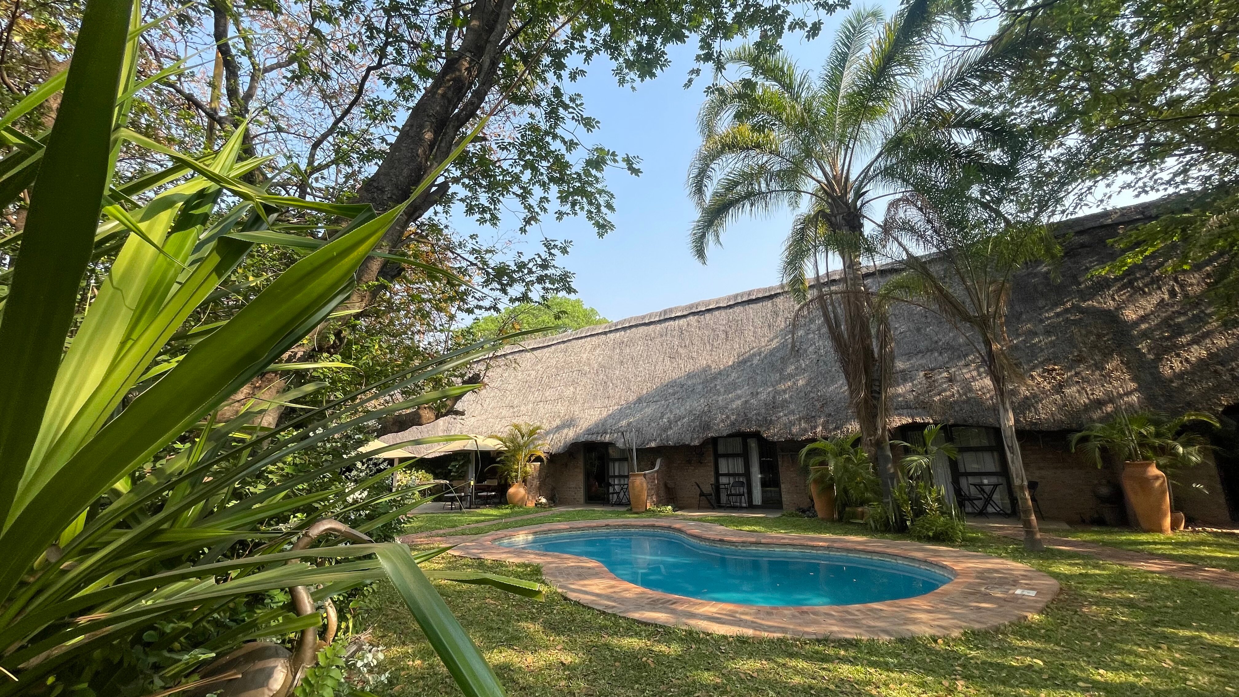 Nguni Lodge-泳池