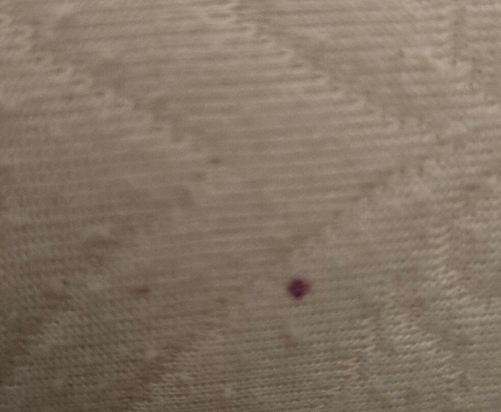 Hyatt Place Poughkeepsie/Hudson Valley主图