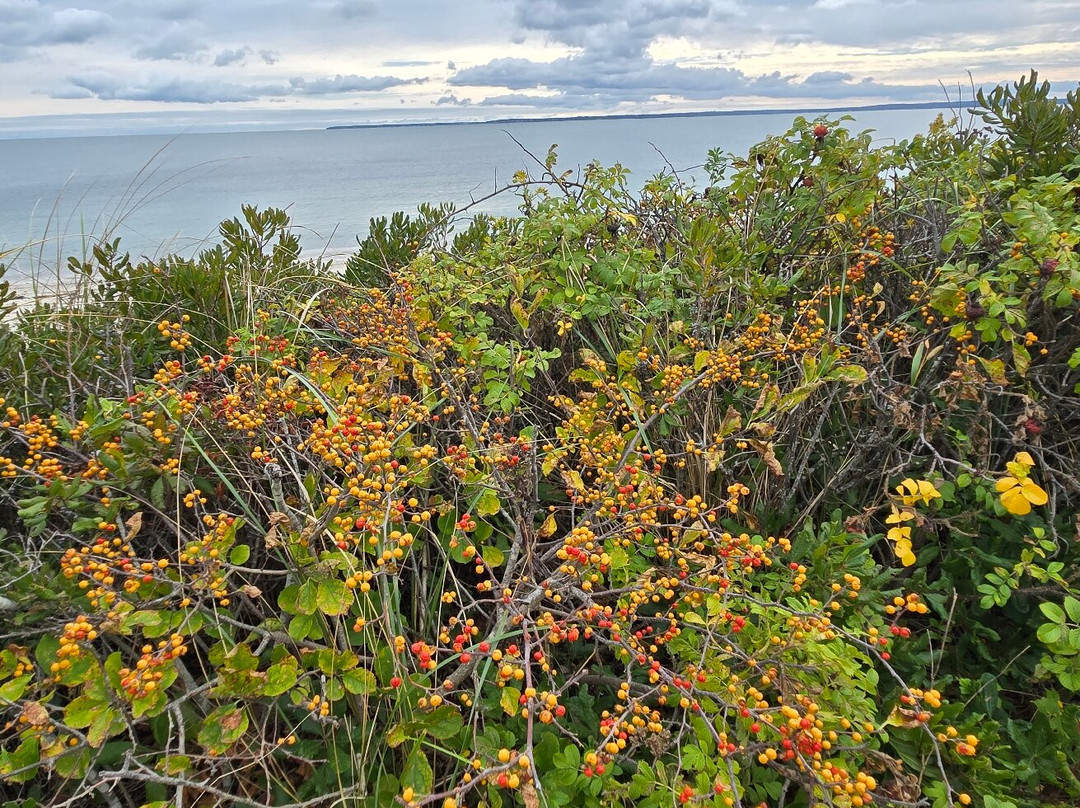 Shining Sea Bikeway-法尔茅斯必去景点