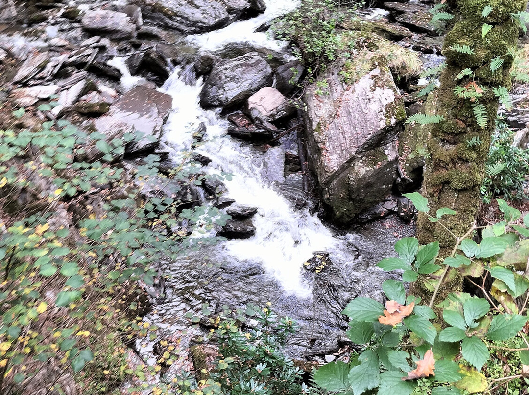 Devil's Bridge Waterfalls-Devil's Bridge (Pontarfynach)必去景点