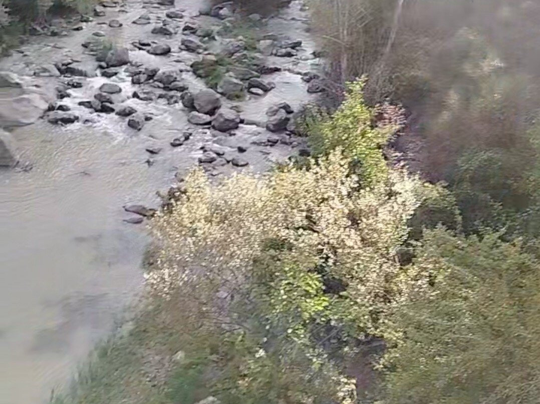 Parco Regionale di Gallipoli Cognato - Piccole Dolomiti Lucane-Accettura必去景点