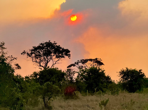 Soraya Experience-阿鲁沙必去景点