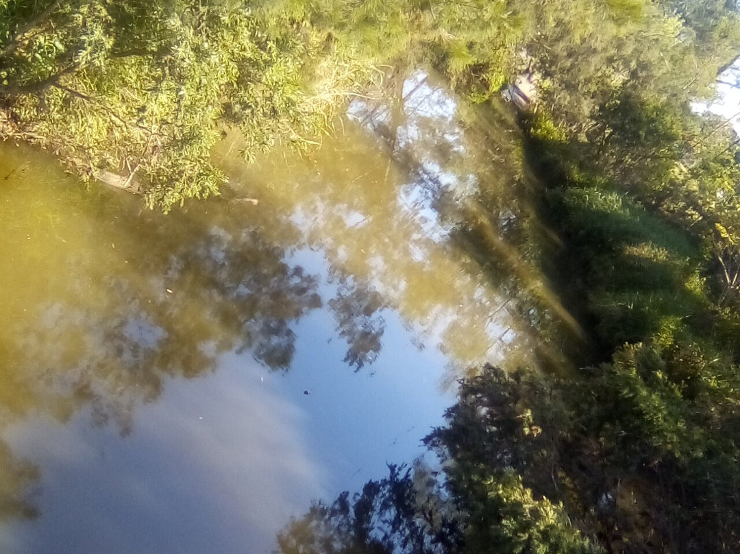 Walkway Spring Creek-Beaudesert必去景点