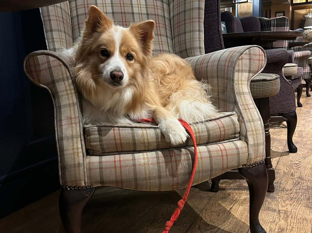 列王之首旅店 - 旅店精选集团主图