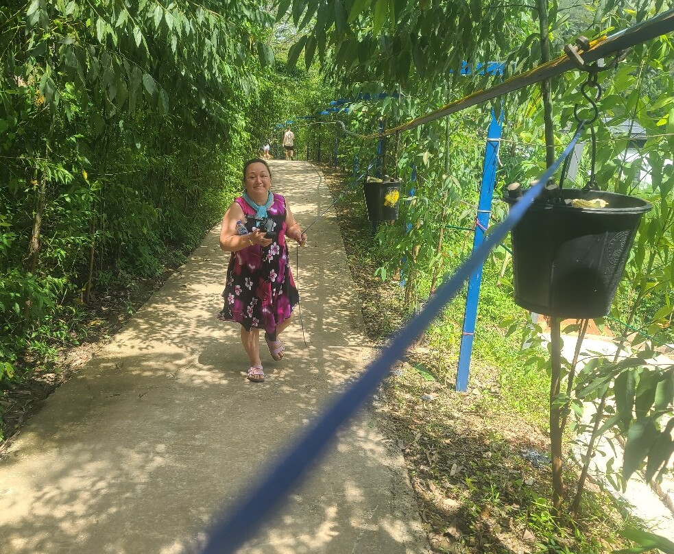 Phuket Elephant Care-奈通必去景点