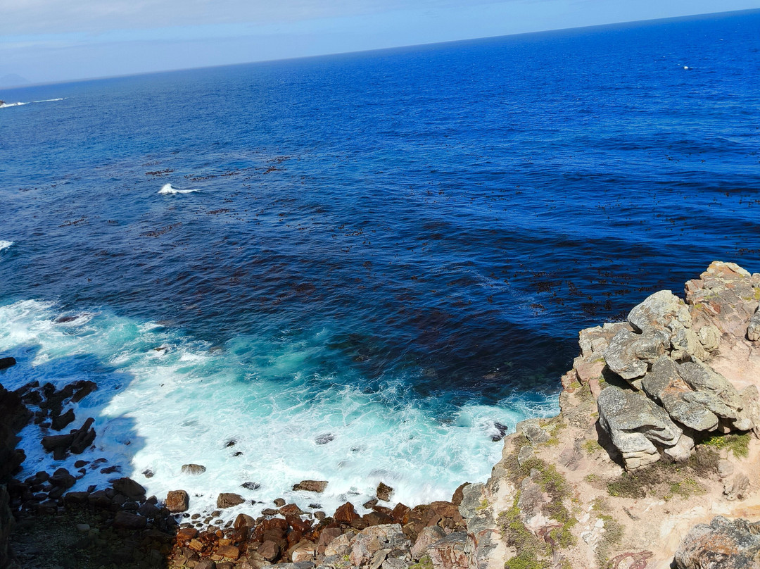 Cape Point-桌山国家公园必去景点