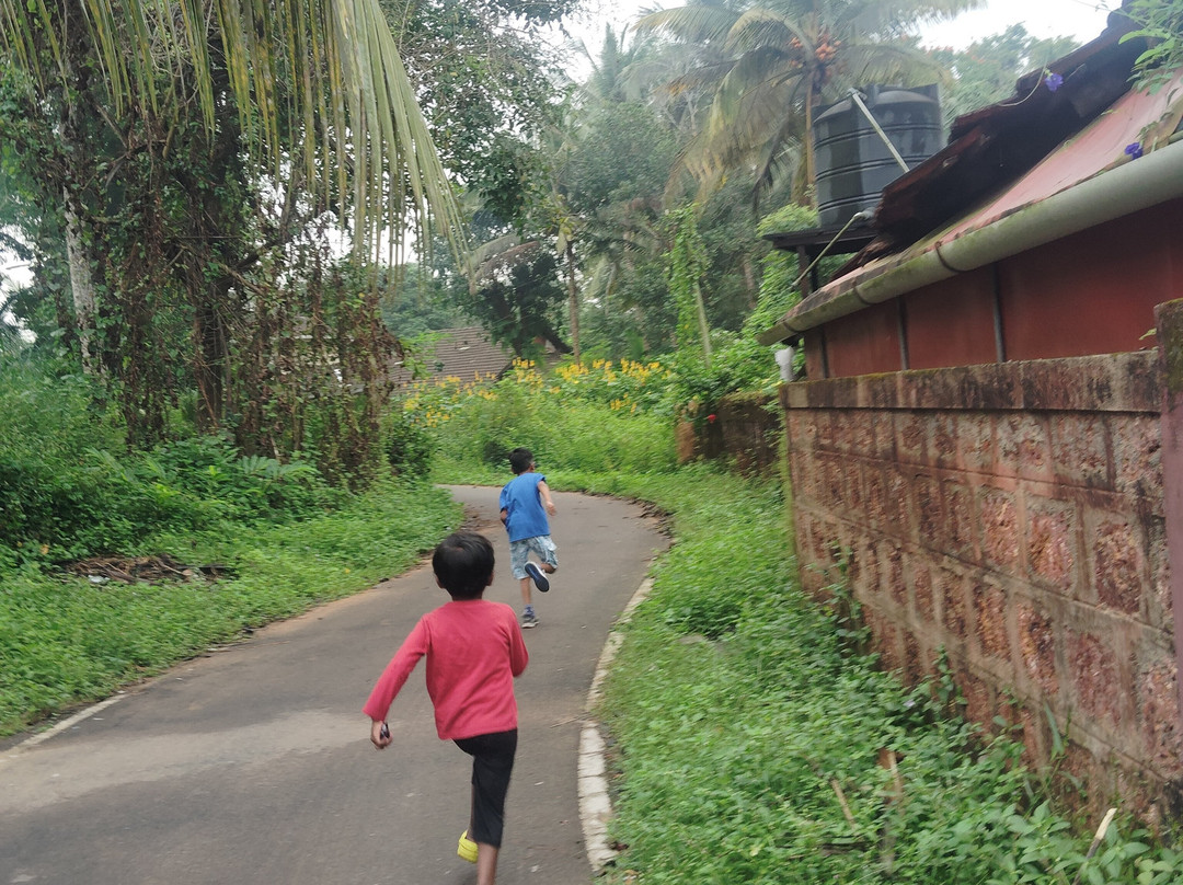 Lazy Frog Guest House主图