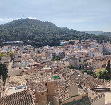 Roig Mobility & Experiences-马洛卡帕尔马必去景点