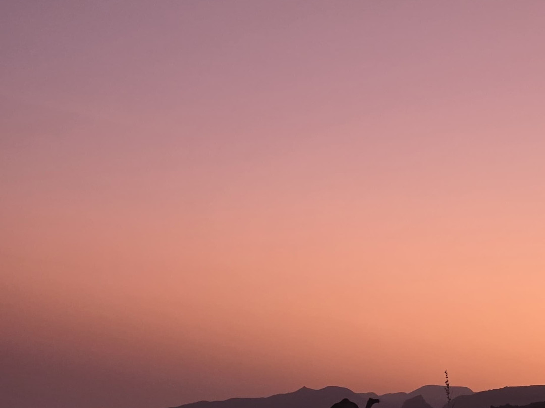 Arabian Sands Tours Oman-塞拉莱必去景点