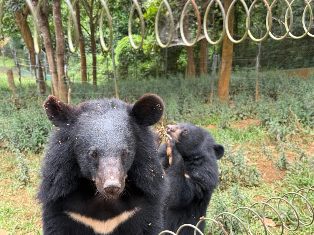 Luang Prabang Wildlife Sanctuary-琅勃拉邦必去景点