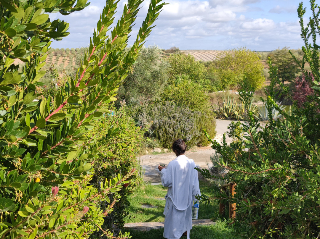 Monte da Estrela Country House & Spa主图