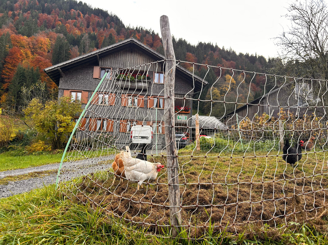 Oberhauser Maria & Markus主图