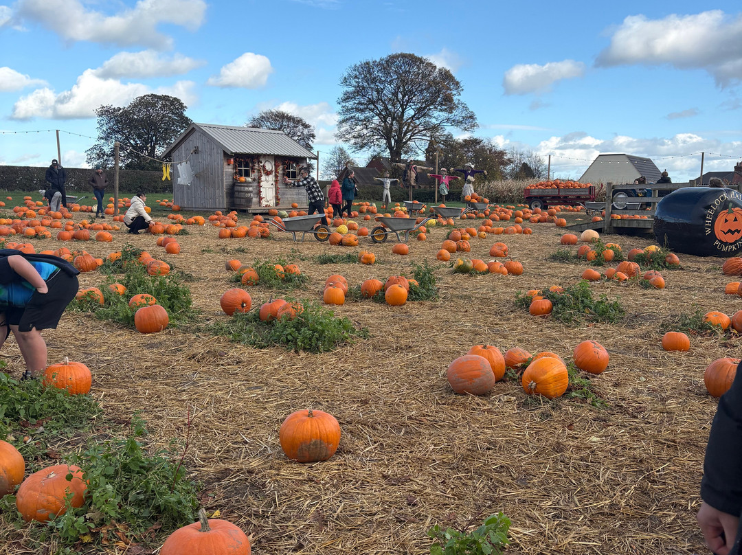 Wheelock Hall Farm-Sandbach必去景点