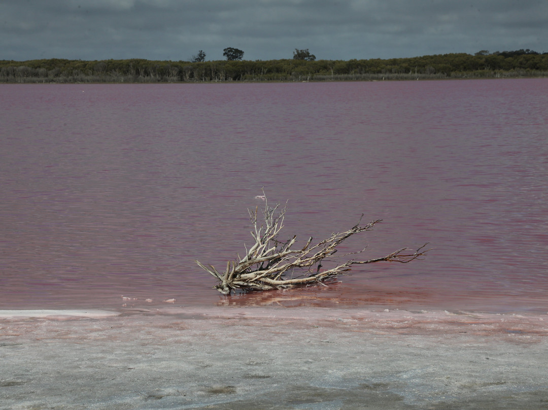 Pink Lake-Dimboola必去景点