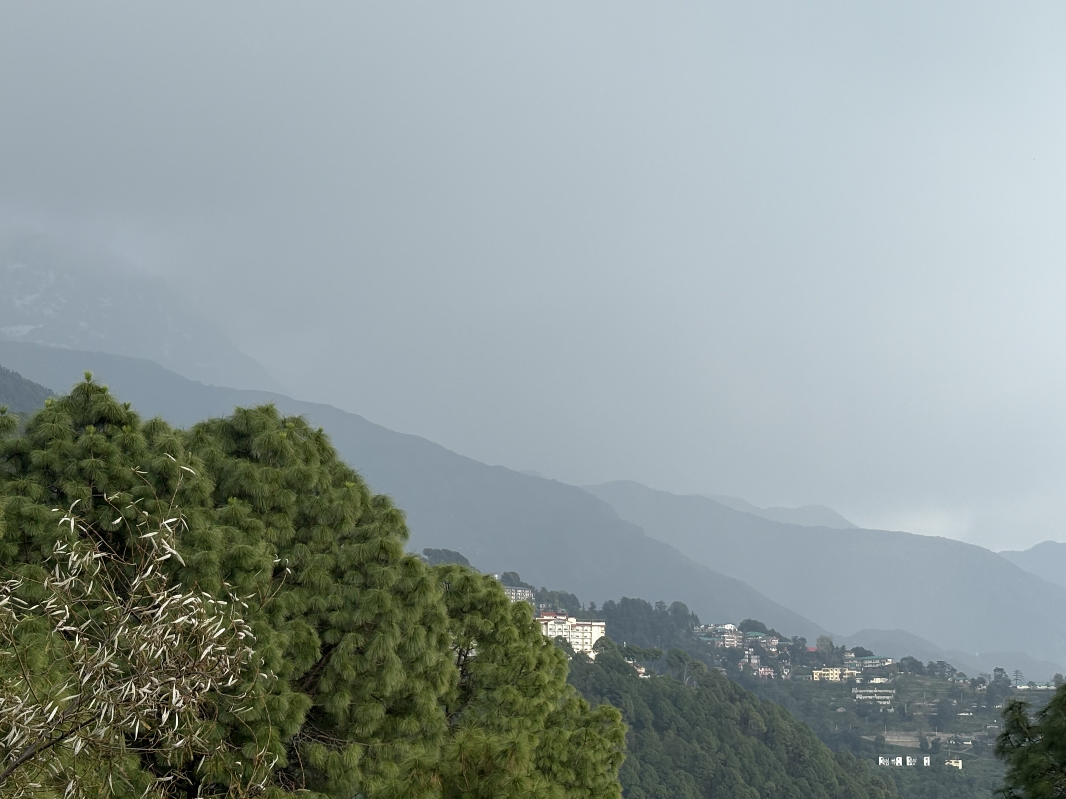 Fortune Park Moksha Mcleodganj-官方