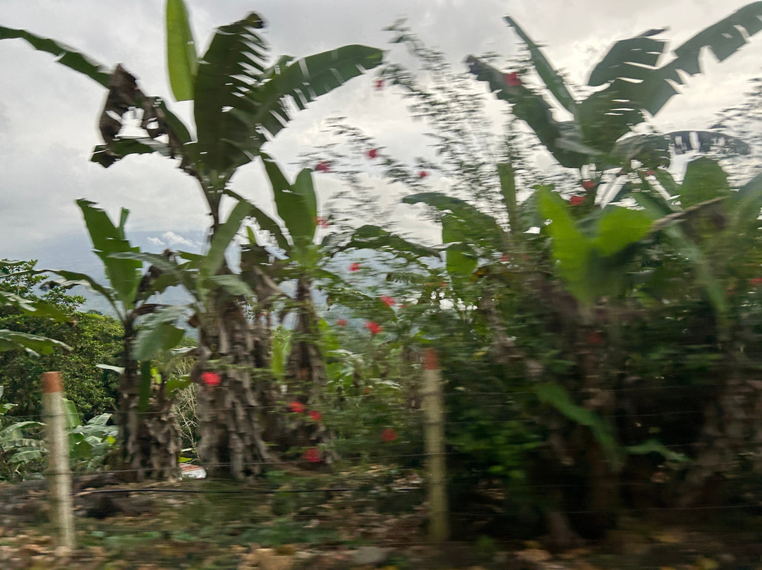 Amazing Vacations Costa Rica-图里亚尔瓦必去景点