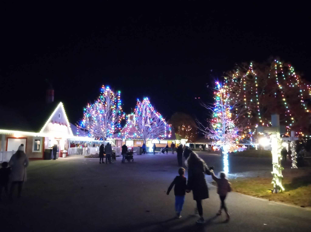 Edaville Holiday Festival of Lights-Carver必去景点