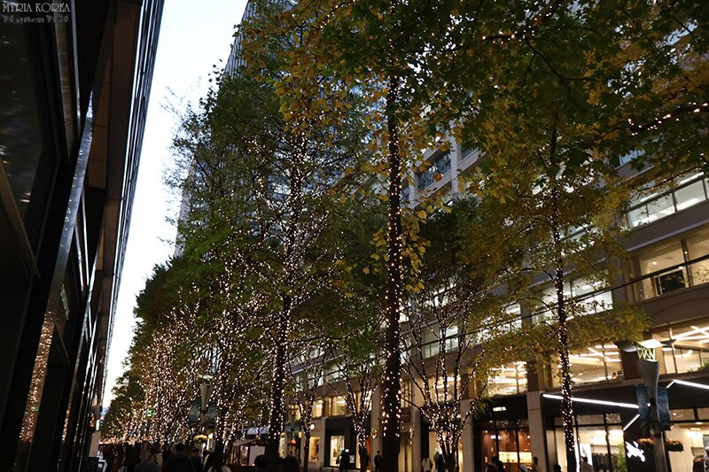 Marunouchi Naka Street-Marunouchi必去景点