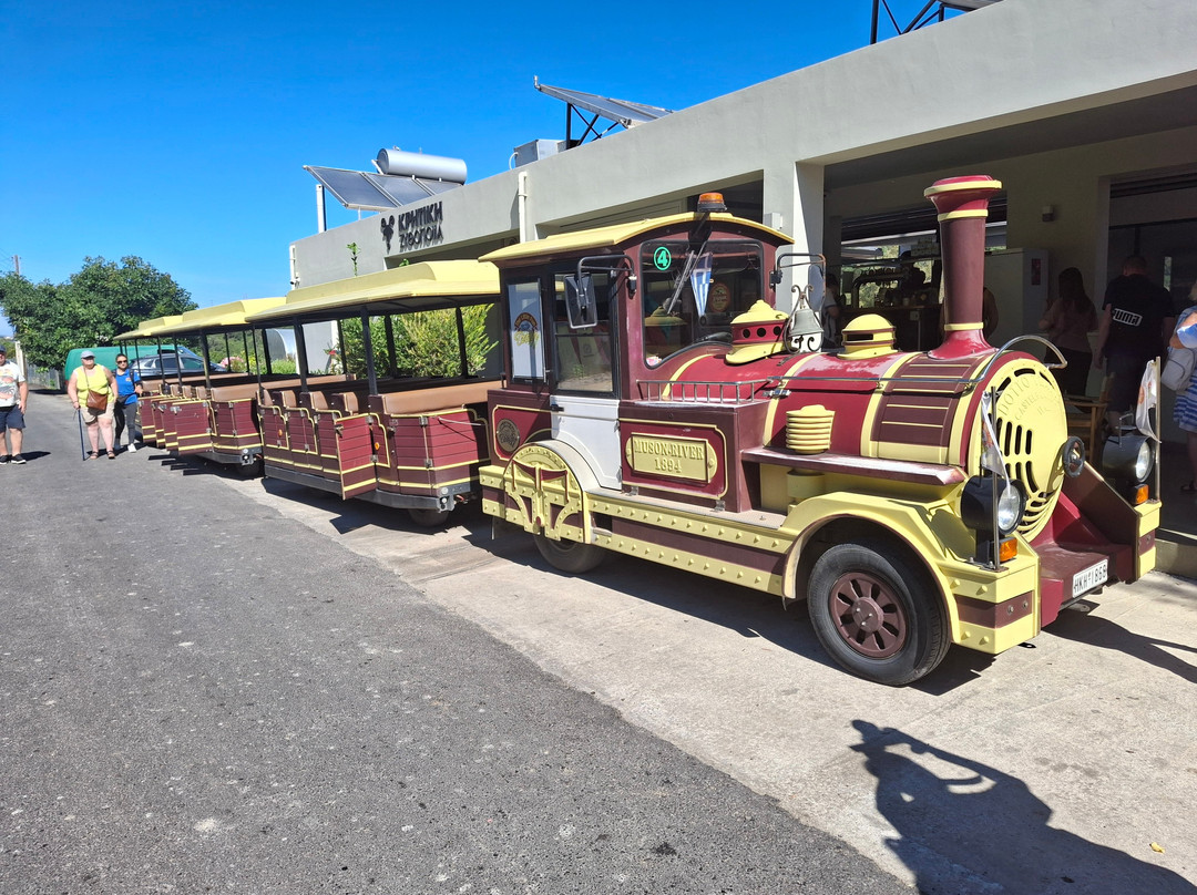 The Little Fun Train-阿吉亚玛丽娜必去景点