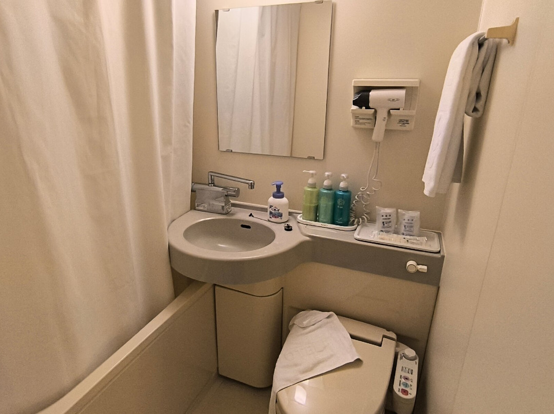 Saijo Urban Hotel主图