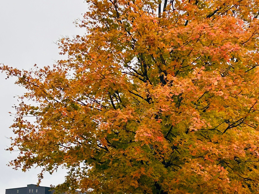 Wilderness Trail Distillery-Danville必去景点