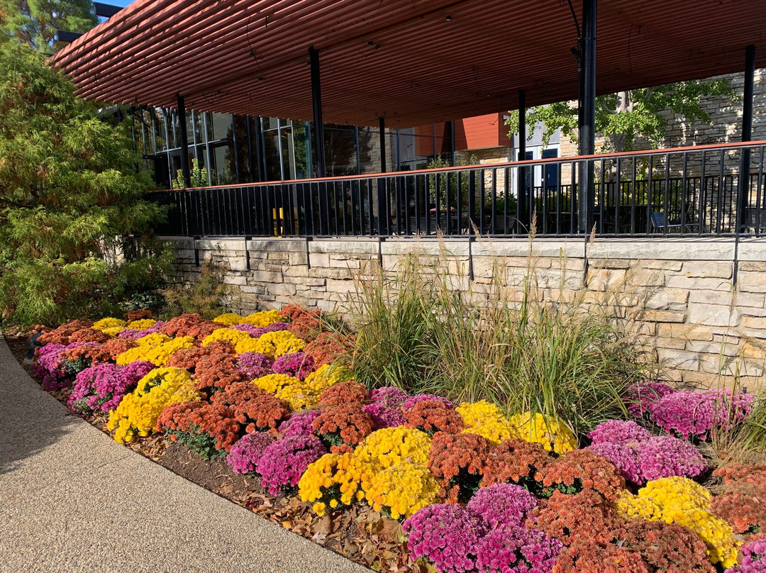 Morton Arboretum-Lisle必去景点